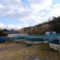 荒砥沢養魚場の全景