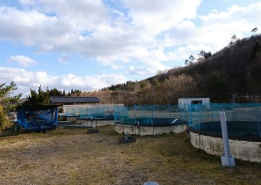 荒砥沢養魚場の全景