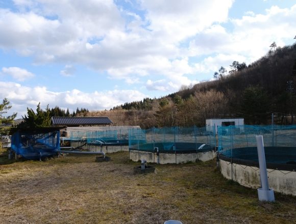 荒砥沢養魚場の全景