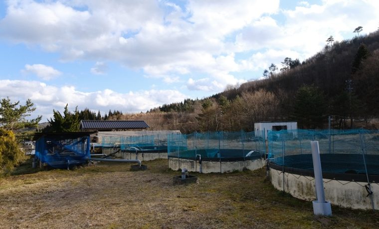 荒砥沢養魚場の全景