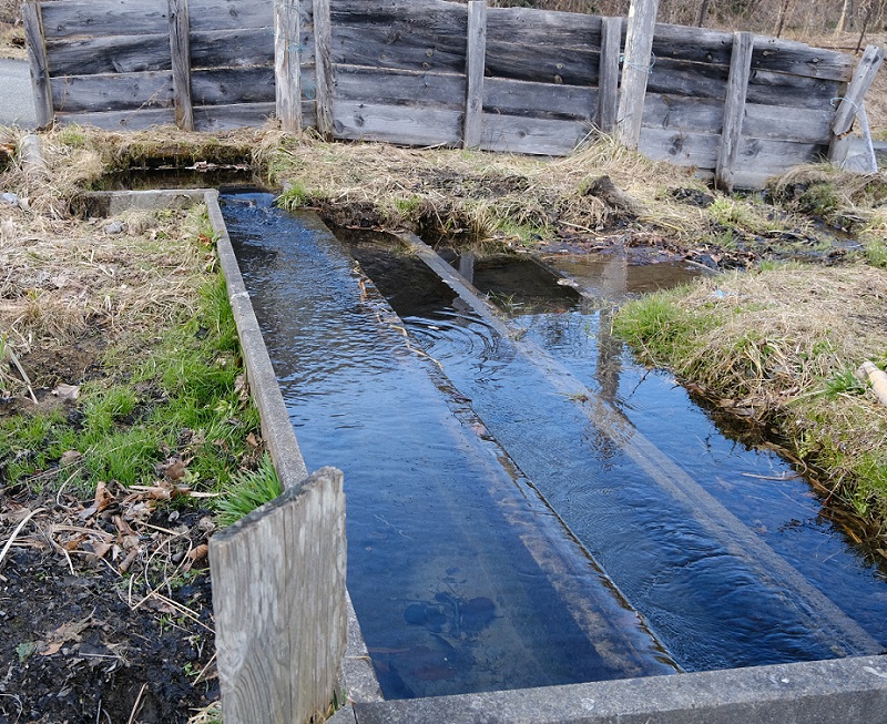 湧き水の集約水路