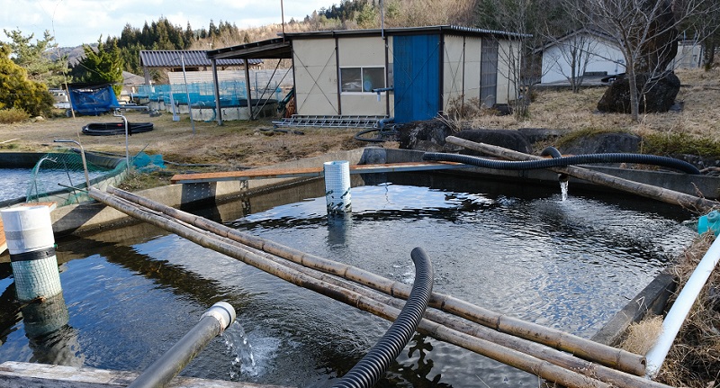 荒砥沢養魚場の池の風景